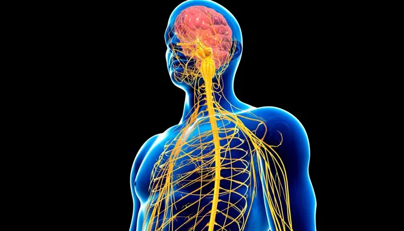 Recognizing Possible Neurological Warning Signs: 7 Symptoms to Know