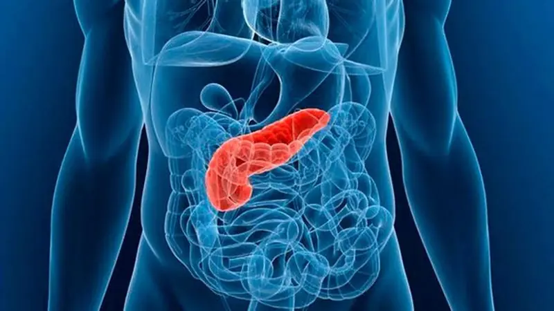 Your Body Could Be Trying to Warn You: 8 Possible Can.cer Signs You Should Know