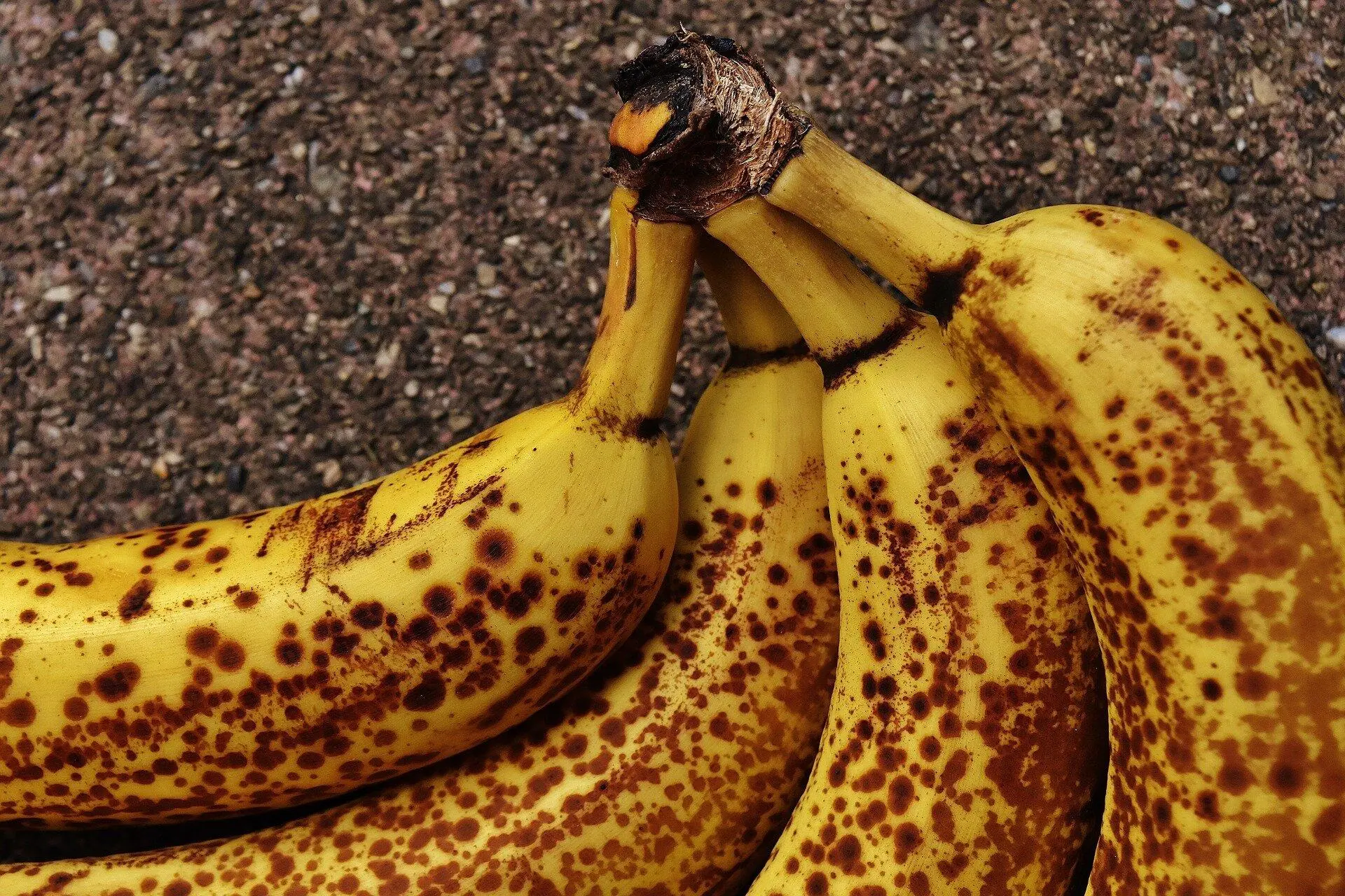 Doctors reveal that eating bananas in the evening leads to… See below