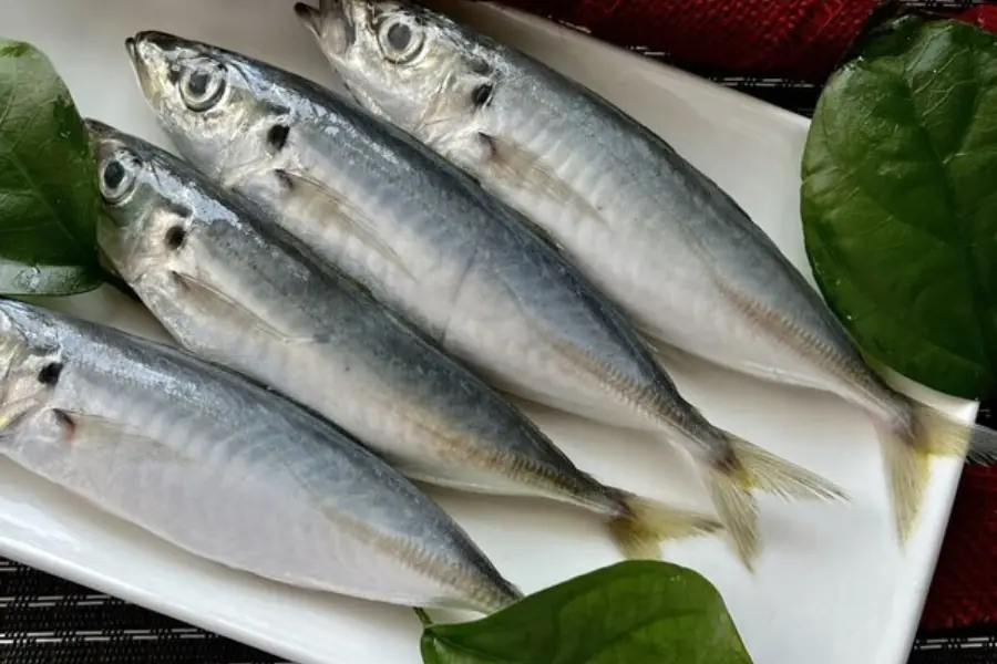 This Affordable Fish Is Much Cheaper Than Salmon and It's Surprisingly High in Protein