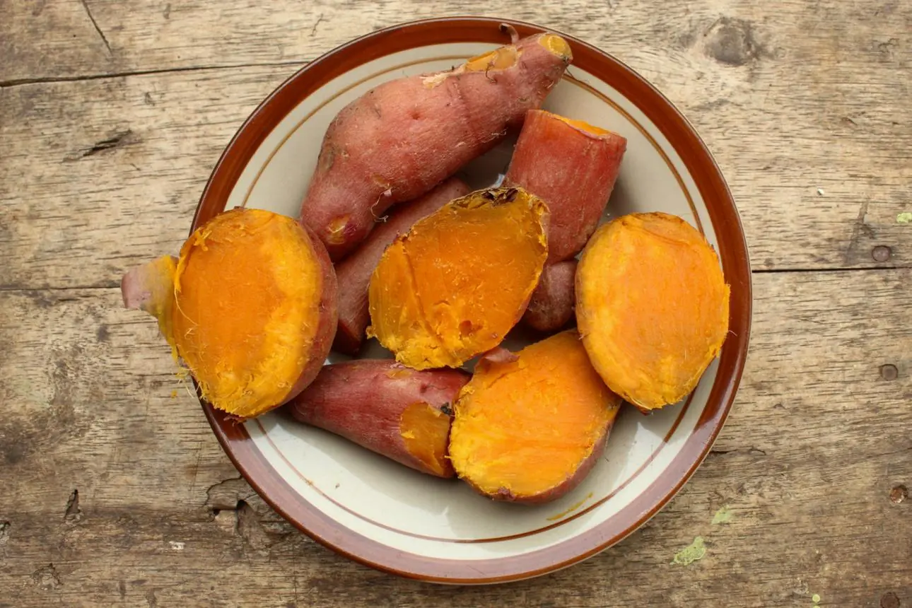 A Year of Sweet Potatoes: What Happened When a 64-Year-Old Woman Made Them Part of Her Daily Breakfast?