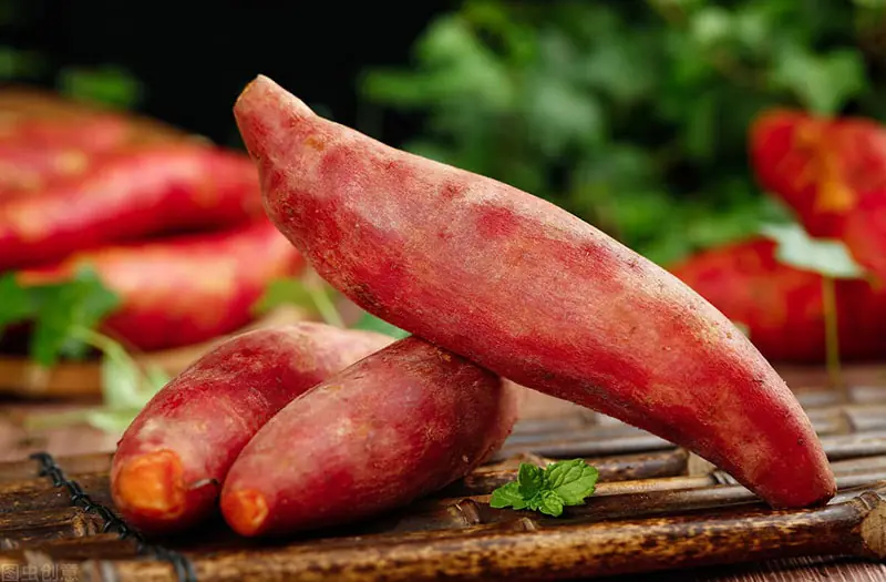 What Happens to Your Body When You Eat Sweet Potatoes Regularly?