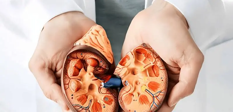 Could These Symptoms Be Linked to Kidney Problems? Here's What to Know