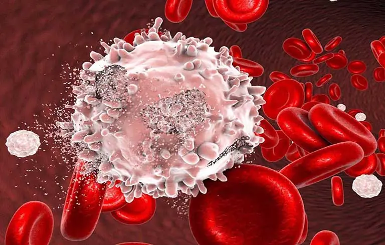 5 Foods That May Increase Can.cer Risk: What You Should Know
