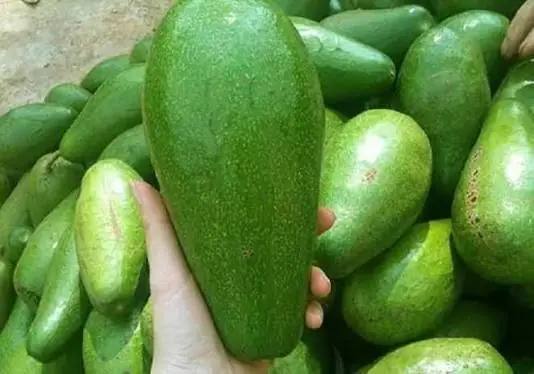 Eating Avocados Every Day? Here Are Some Surprising Effects You May Not Expect