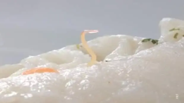 Before You Eat These 4 Foods, Know How Parasites Can Sometimes Hide in Them.