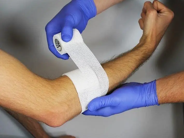 What to Do First After a Snake Bite: Critical Steps That Could Save Your Life