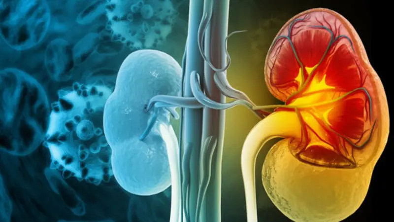 Early Kidney Disease Can Be Silent - Here Are the Signs to Know