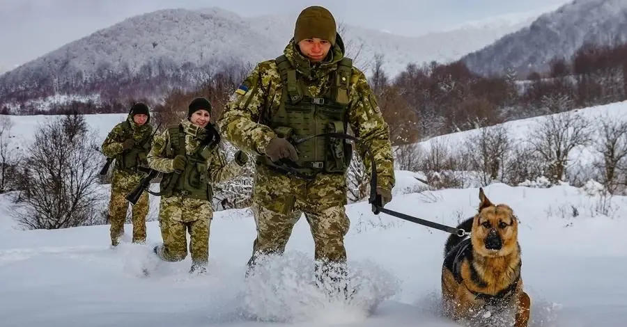 The Dog and the Mocked Soldier Save the Team