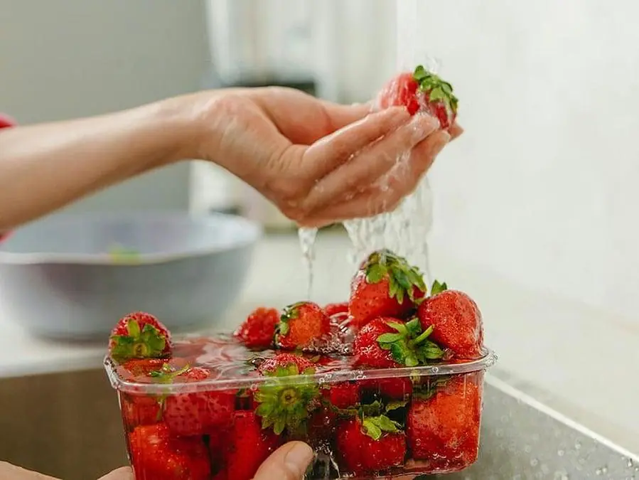 I Soaked My Strawberries in Salt Water — And These Tiny White Creatures Started Wriggling Out. What Are They?