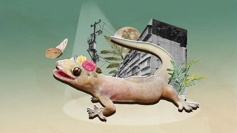 Keep Finding Lizards in Your House? Here’s What It Could Mean
