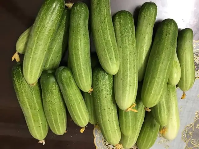 Eat a Cucumber Every Day? Here’s What May Happen