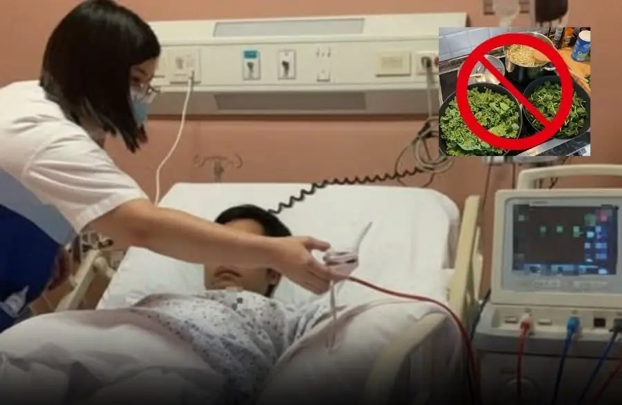 A man died from acute kidney failure — all because he ate too much of 3 vegetables you probably eat every week…