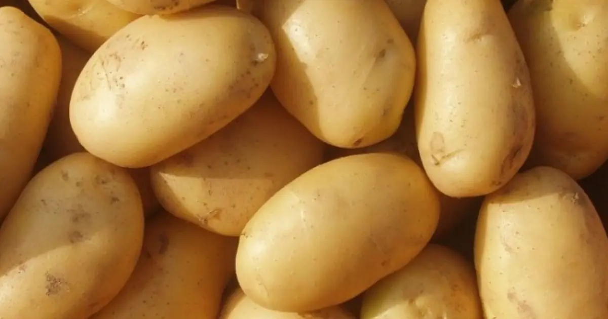 Potatoes May Be Delicious But Some People Should Be Cautious About Eating Them