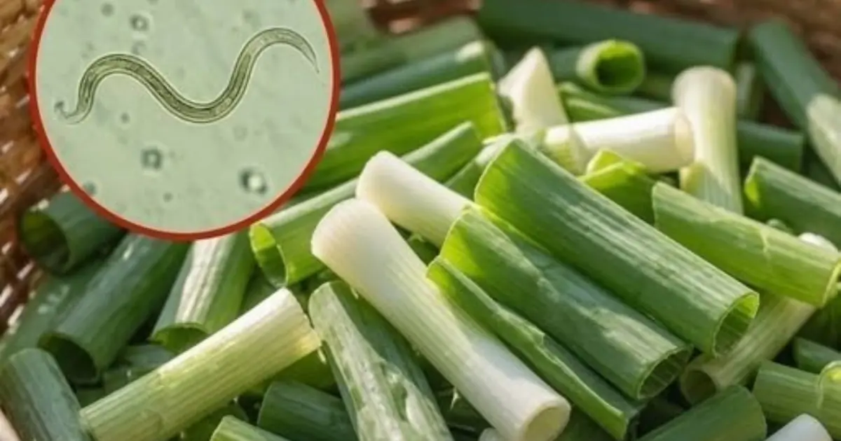 Discover why a quick rinse isn't enough and how to wash them safely!