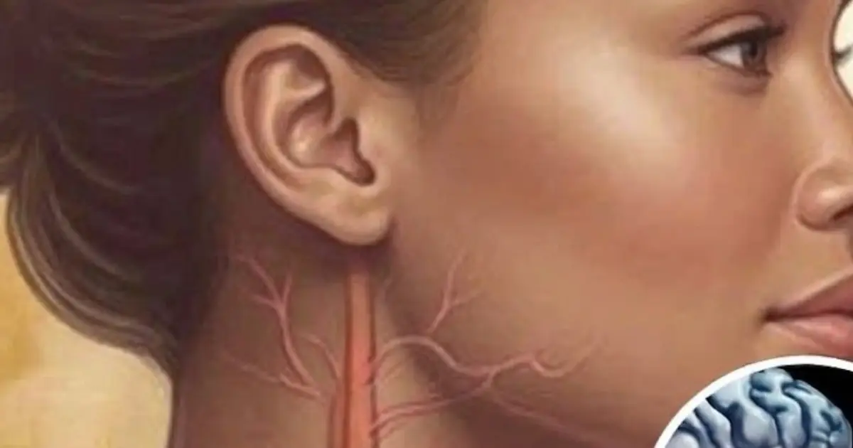Don't Ignore These 10 Possible Signs of Narrowed Arteries and Reduced Bl00d Flow...