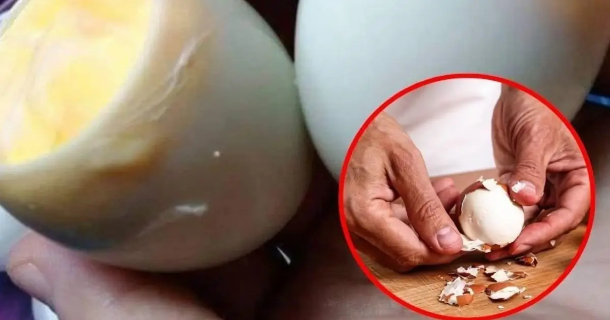 Doctors reveal that eating boiled eggs in the morning causes ... See more