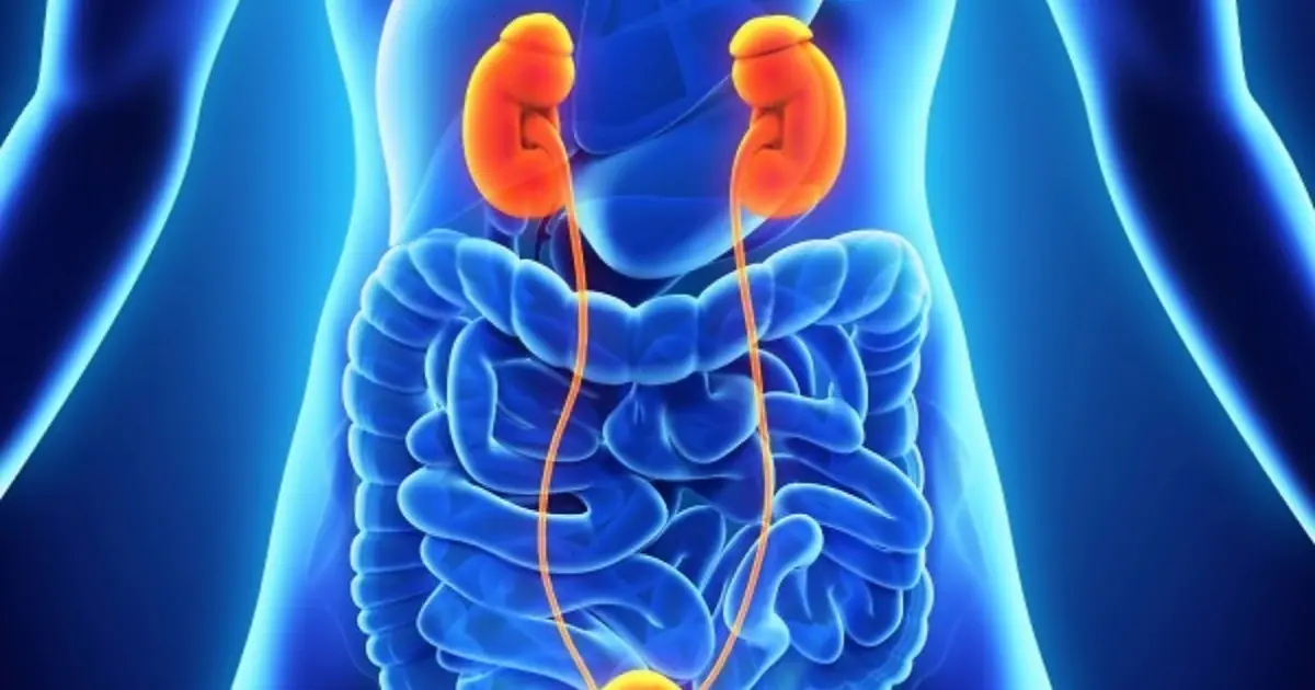 Kidney Can.cer: 9 Possible Warning Signs You Shouldn't Ignore