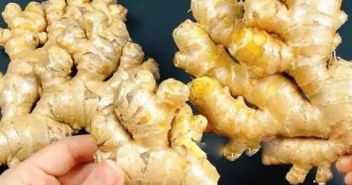 Ginger Has Benefits—but These 5 Health Conditions May Call for Caution