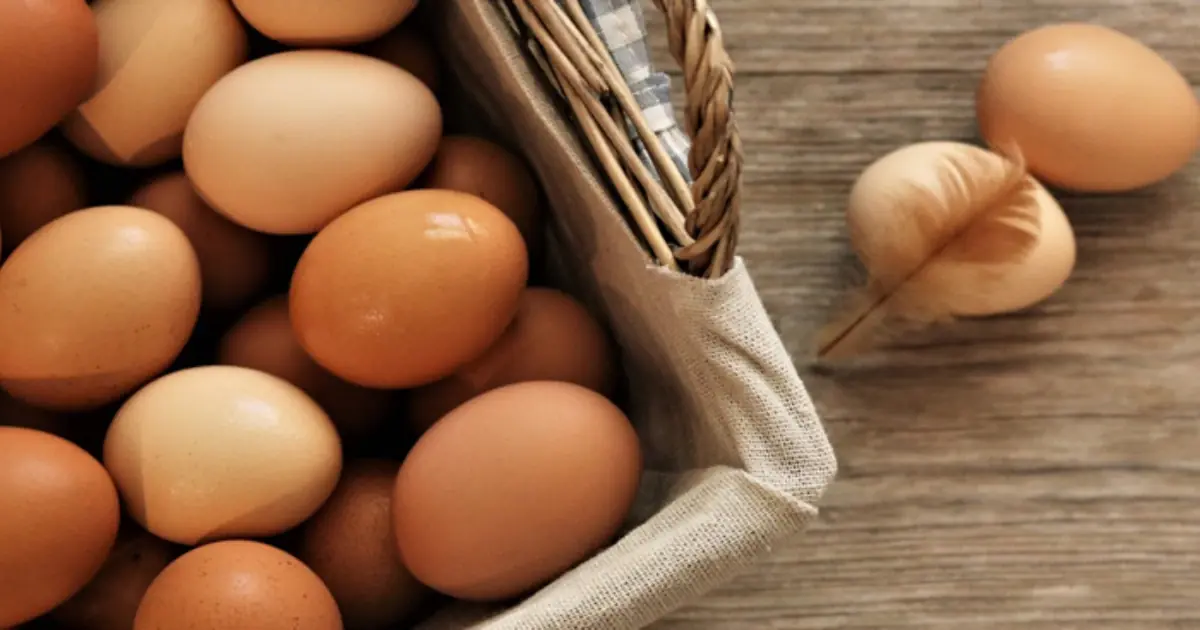 Eating Eggs Regularly? Here Are Some Potential Long-Term Health Benefits