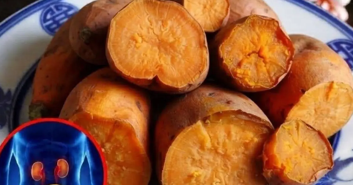 Looking for Kidney-Friendly Breakfasts? Here Are 5 Nutritious Ideas...