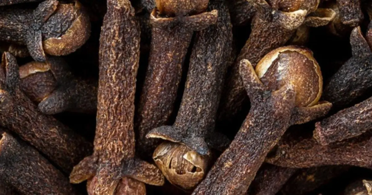 Chew This Tiny Spice Before Bed? What Cloves May Do While You Sleep