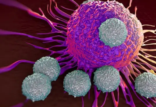 Warning Signs That Could Indicate Your Kidneys Need Care