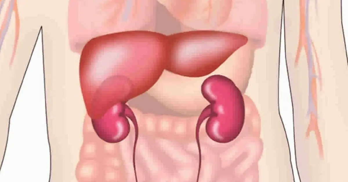 Using Too Much of These 2 Spices Could Harm Your Liver and Kidneys