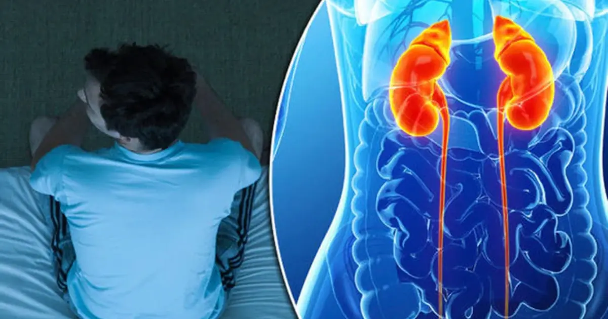 Kidney Can.cer May Show Subtle Warning Signs - Here’s What to Watch For
