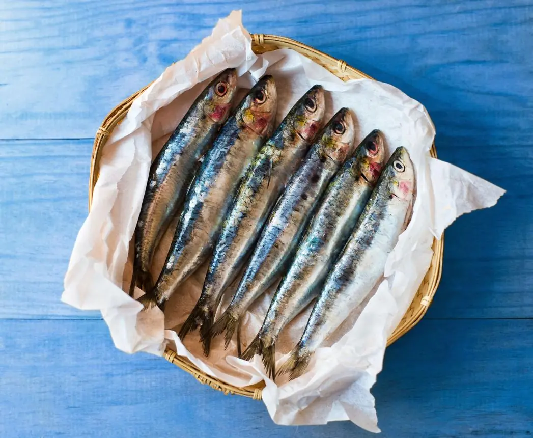 This Affordable Fish May Rival Salmon in Nutrition While Costing Much Less