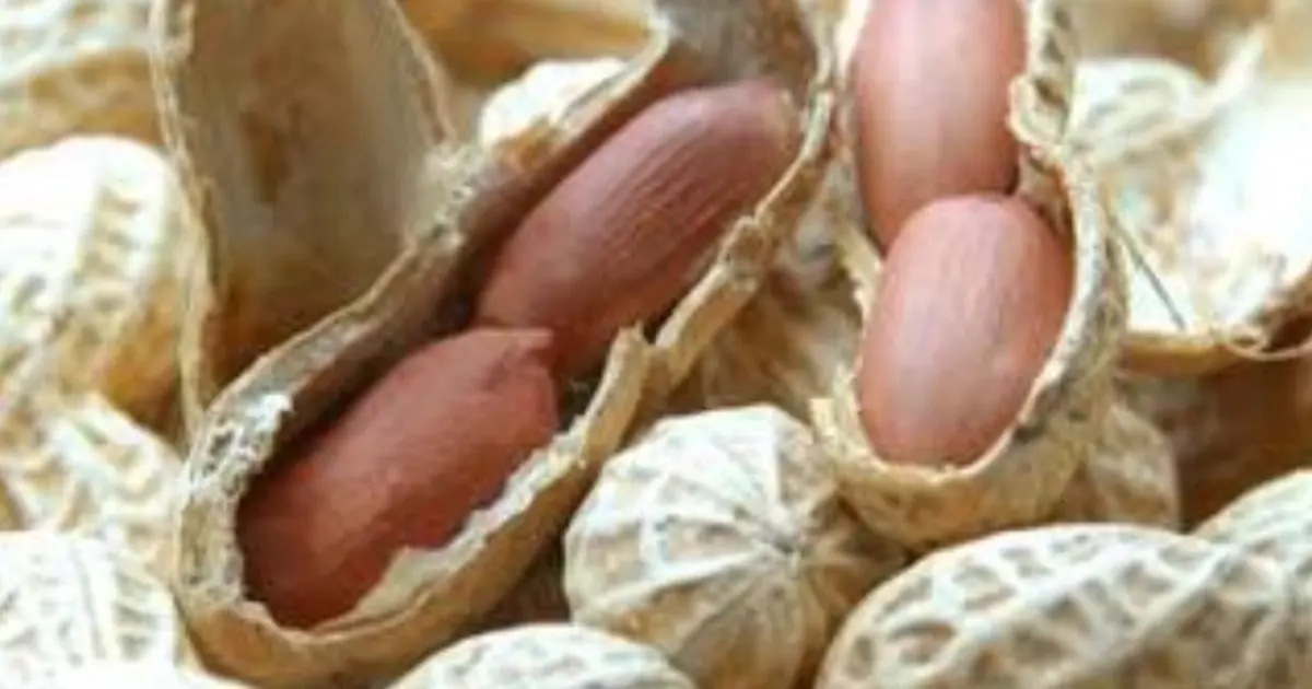 Love Peanuts?  Doctors Say There Are a Few Things You Should Know Before Eating Them Regularly