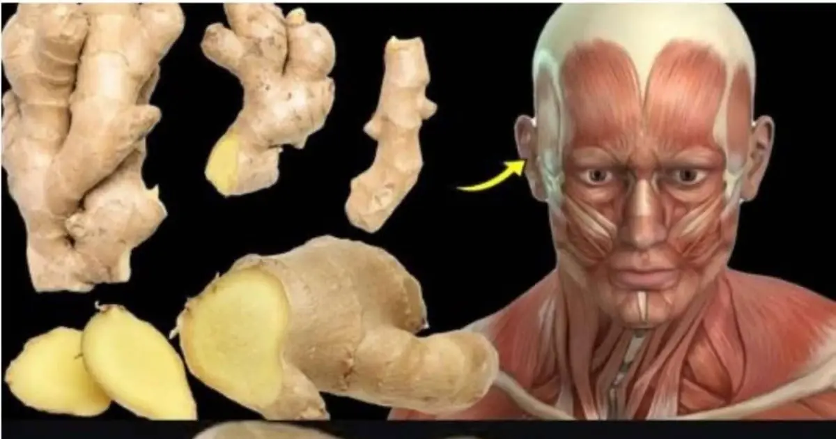 What Happens To Your Body When You Eat Ginger Everyday 😳 You better know it, ASAP!