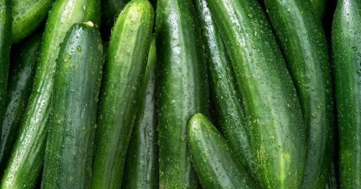 What Happens When You Make Cucumbers Part of Your Daily Diet? The Answer May Surprise You