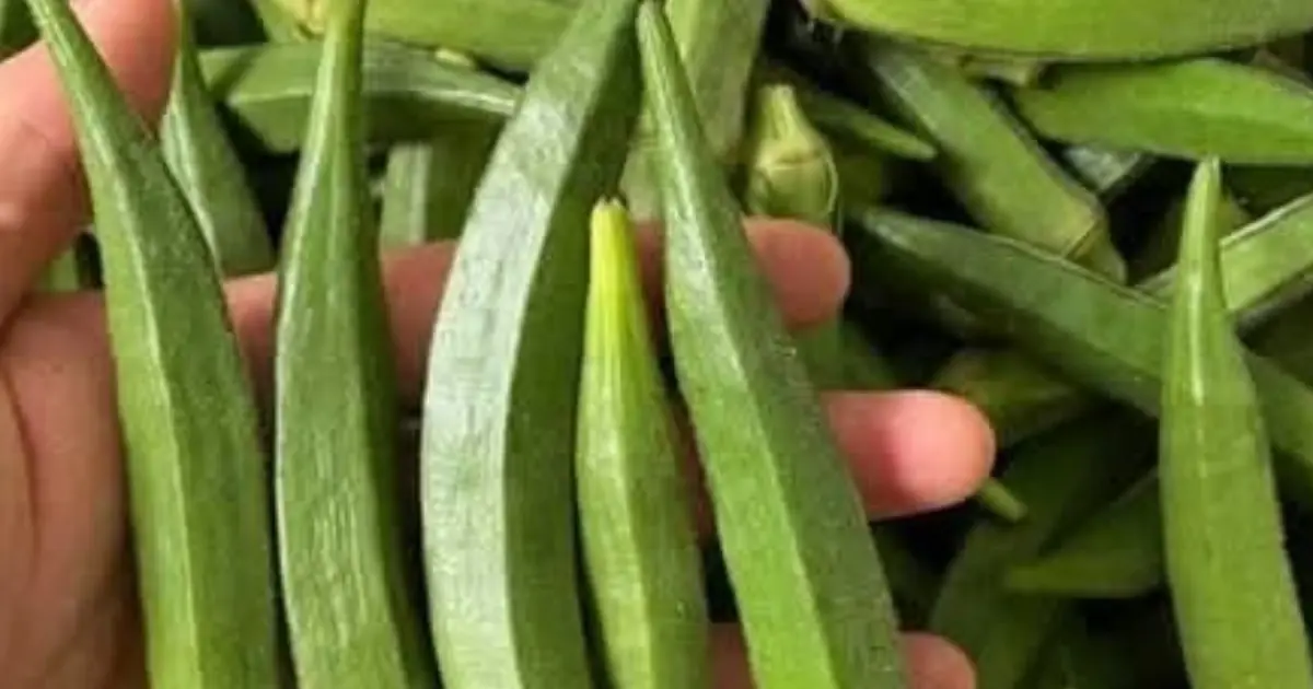 Doctors reveal that eating okra causes..