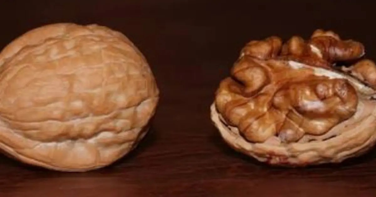 This Simple Nut May Offer More Benefits Than You Think—Here’s What Walnuts Can Do