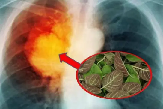 Boiling water is one of the simplest and safest ways to prepare drinking water