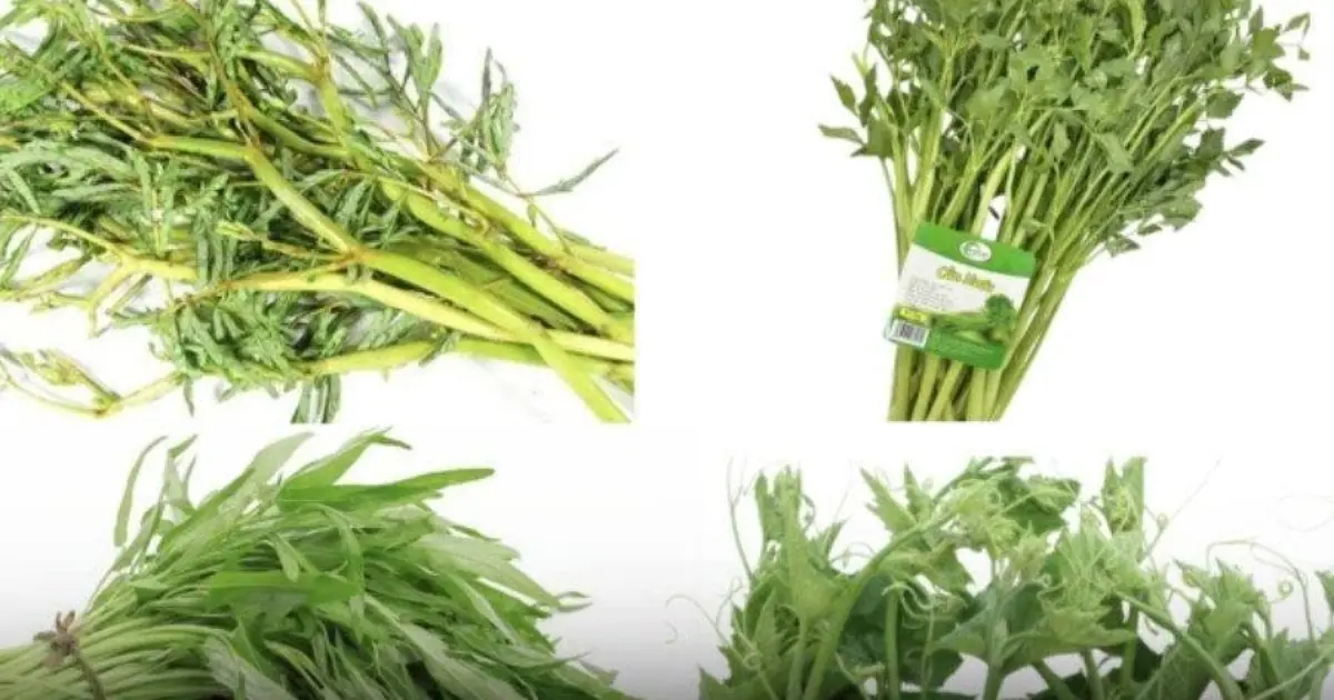 Vegetables Are Healthy, but Some May Accumulate More Heavy Metals Than Others...