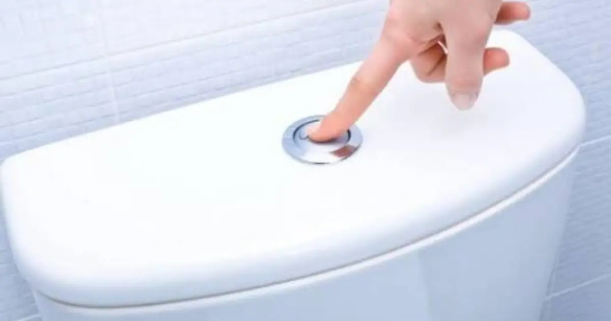 Flushing After Every Urination May Not Always Be Necessary - Here’s Why