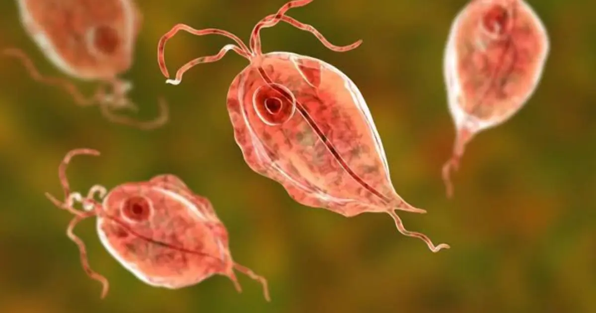The Hidden Parasite Risk in a Food Many People Regularly Eat