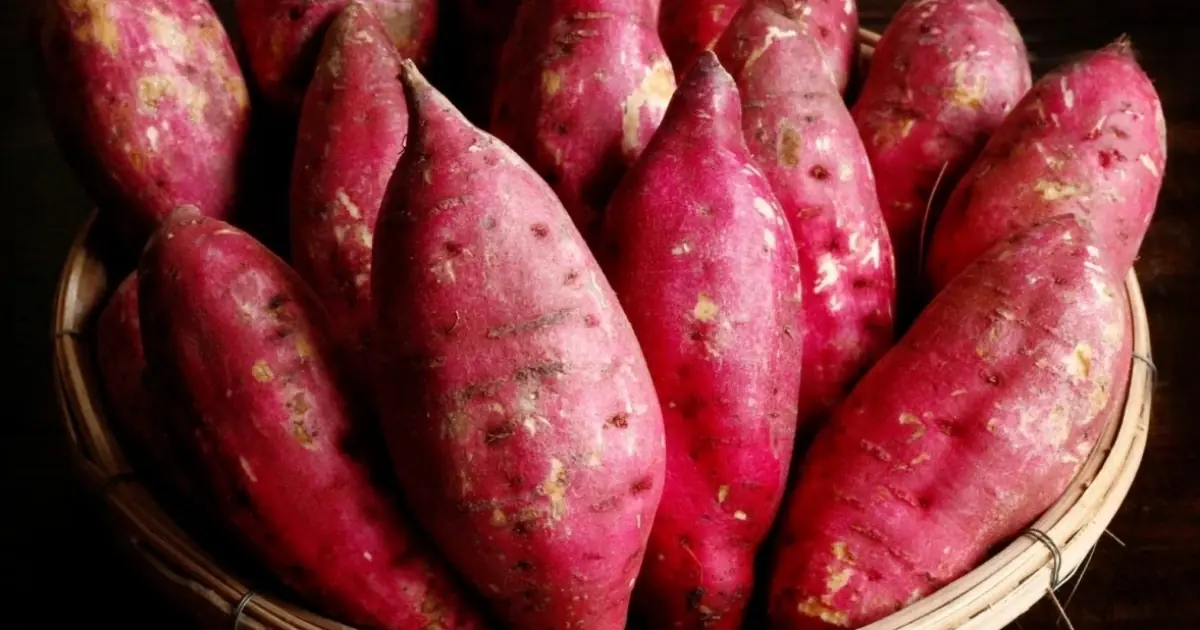When to Eat Sweet Potatoes to Support Healthy Blood Sugar and Weight?