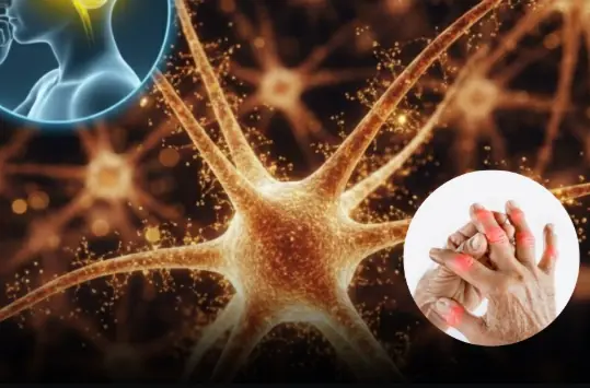 Doctor explains that eating macadamia nuts may lead to