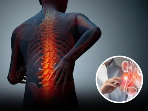 Our bodies are incredibly intelligent