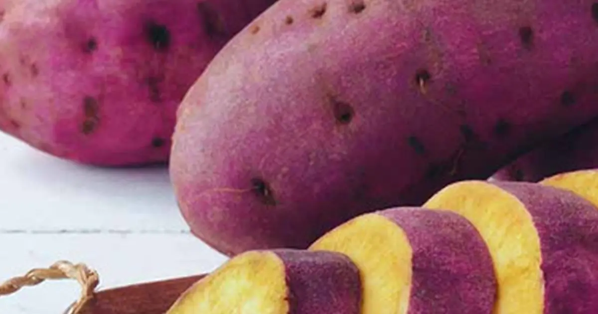 Sweet Potatoes Are More Powerful Than You Think — Here’s What Regularly Eating Them May Do