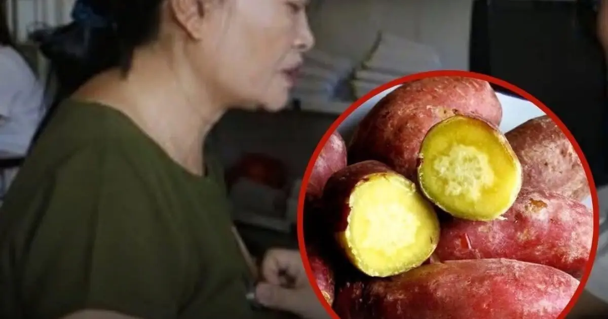64-Year-Old Woman Ate A Boiled Sweet Potato Every Morning For A Year. She Was Surprised By What Doctors Found