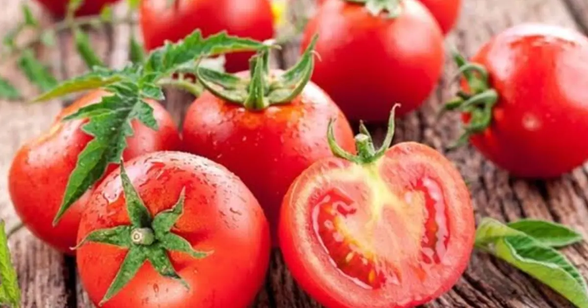 Scientists Take a Closer Look at Tomatoes—Here’s What Regular Consumption May Mean for Your Health…