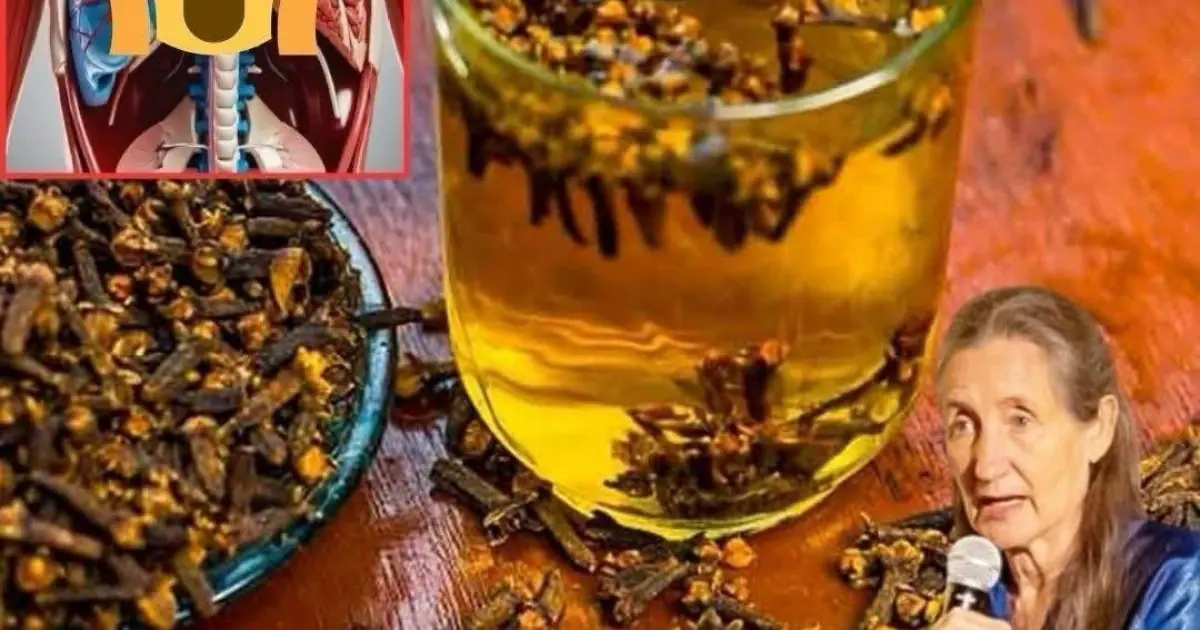 Why Many People Drink Star Anise Tea Every Day — And What Science Says About Its Benefits