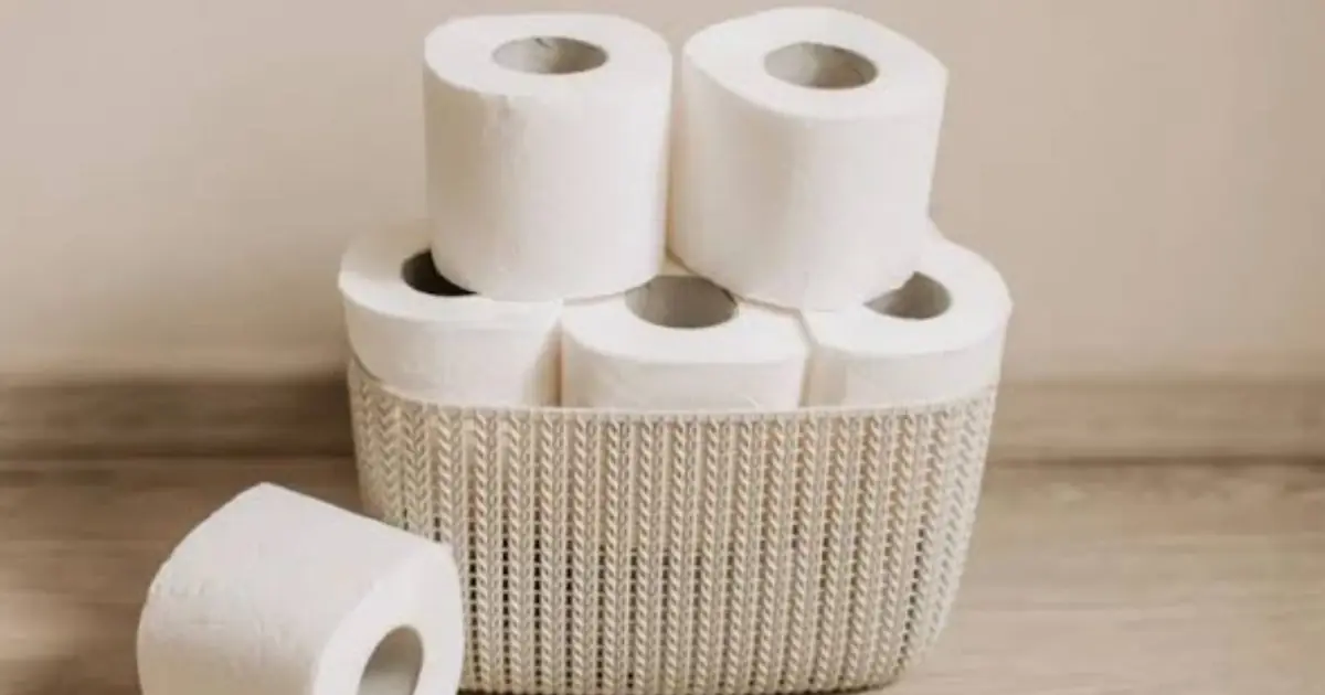 Toilet Paper Safety: Potential Chemicals and What Consumers Should Know