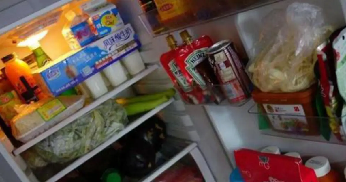 A 60-Year-Old Man Developed Meningitis After Doctors Traced the Infection to His Refrigerator