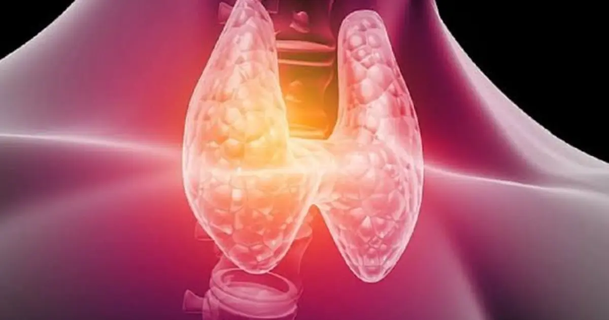 Your Body May Be Warning You: 15 Signs of an Underactive Thyroid