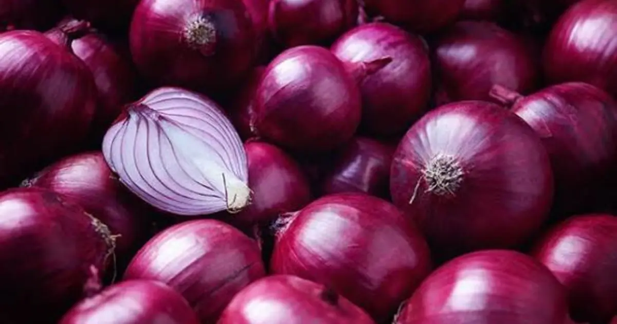 Think Onions Are Just a Flavor Booster? Research Suggests There May Be More to Them